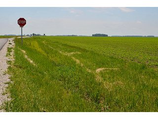 Property photo 53 - LAND AUCTION - 700+/- ACRES OFFERED IN 16 TRACTS IN ALLEN COUNTY, INDIANA